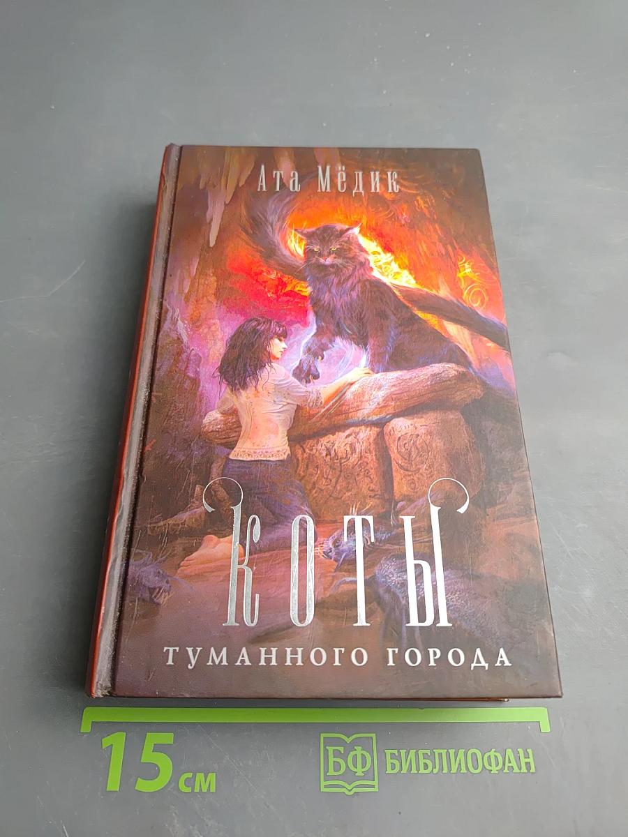 Коты туманного города