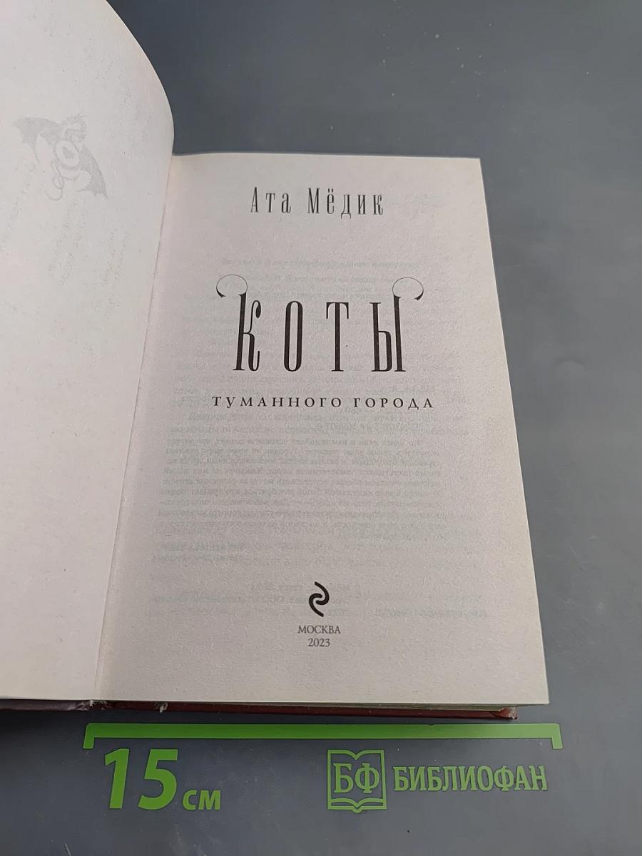 Коты туманного города