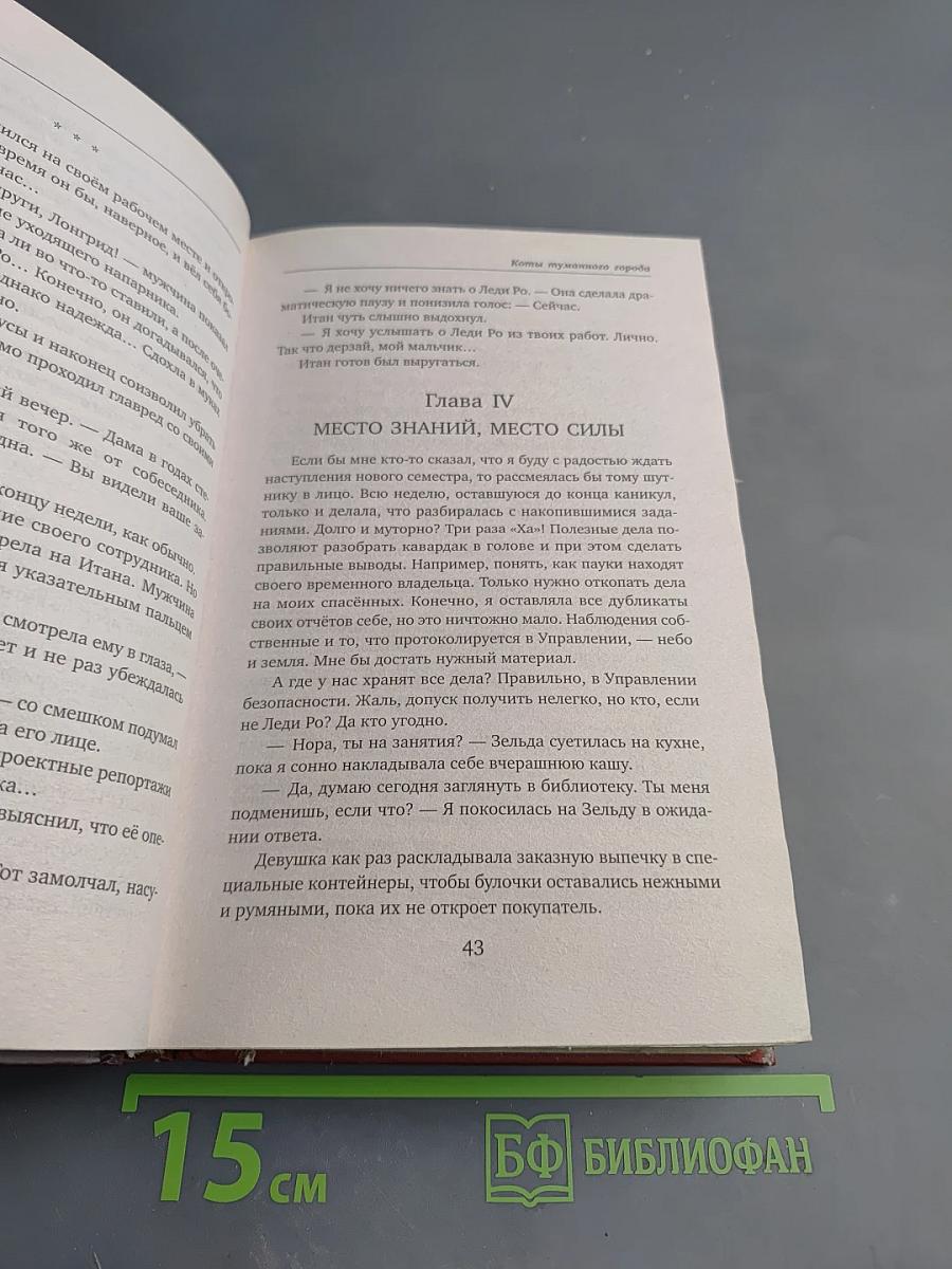 Коты туманного города