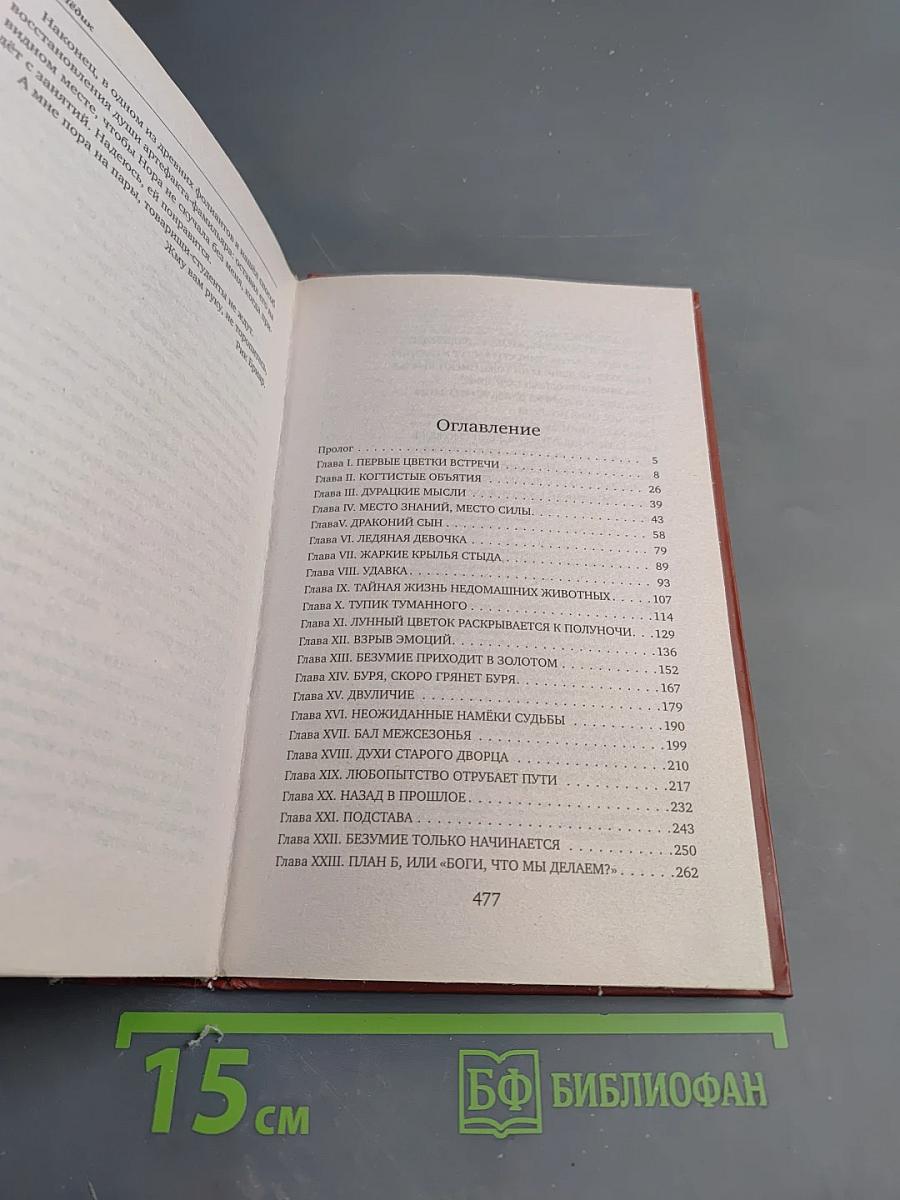 Коты туманного города