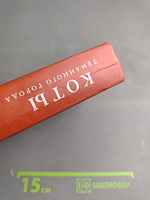 Коты туманного города