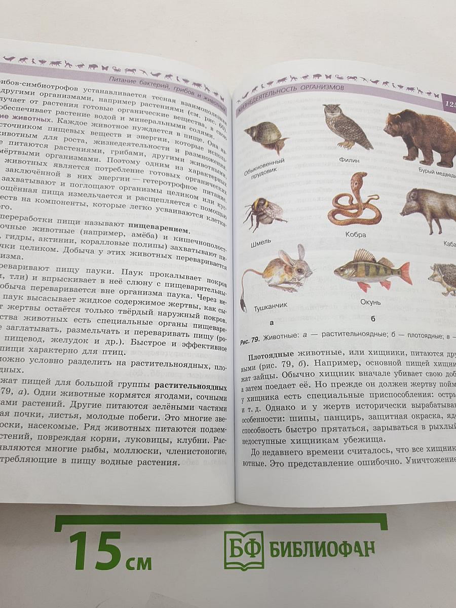 Биология 5-6 классы