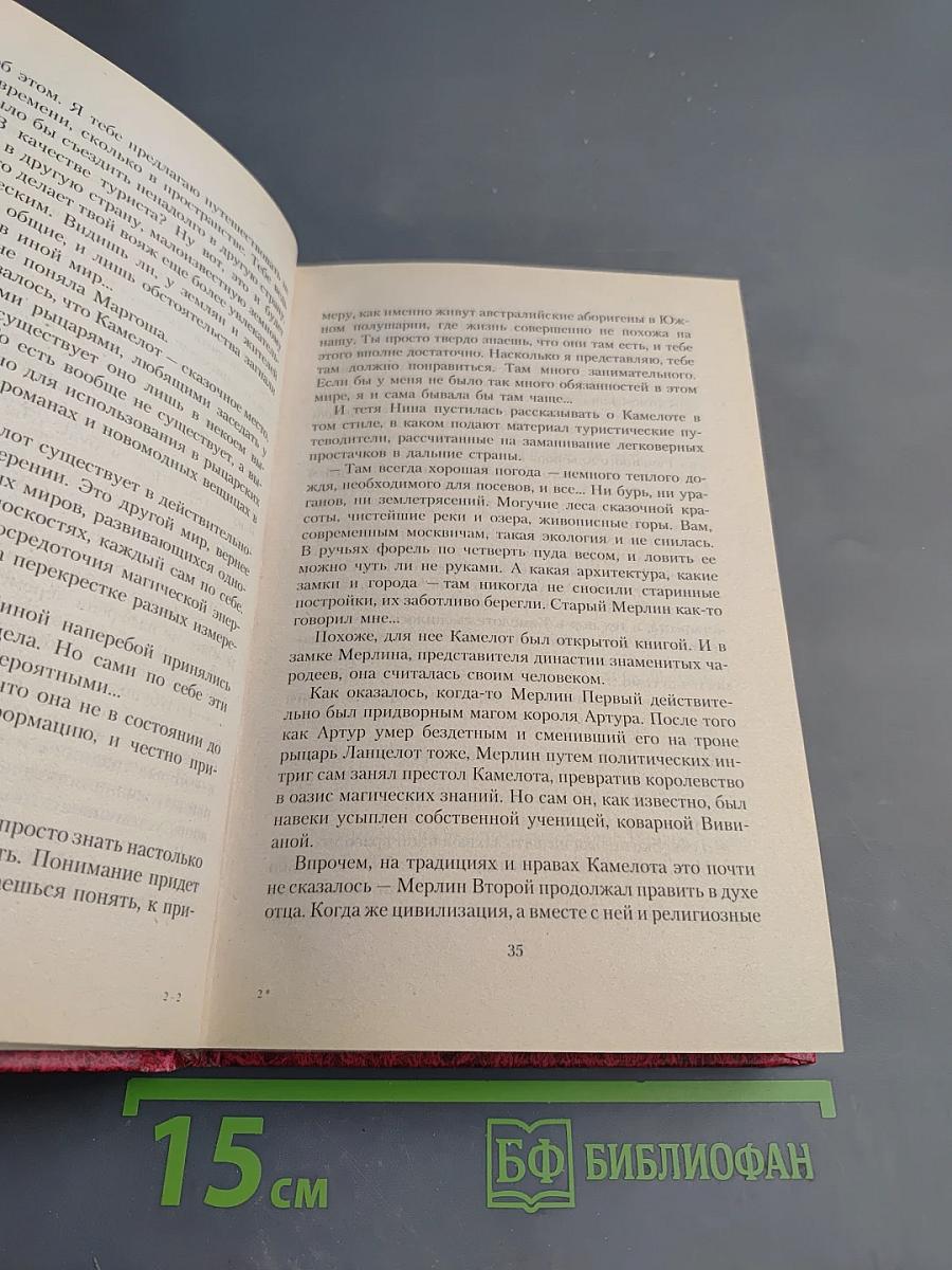 Наследница чародеев. Странствия по мирам