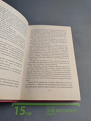 Наследница чародеев. Странствия по мирам