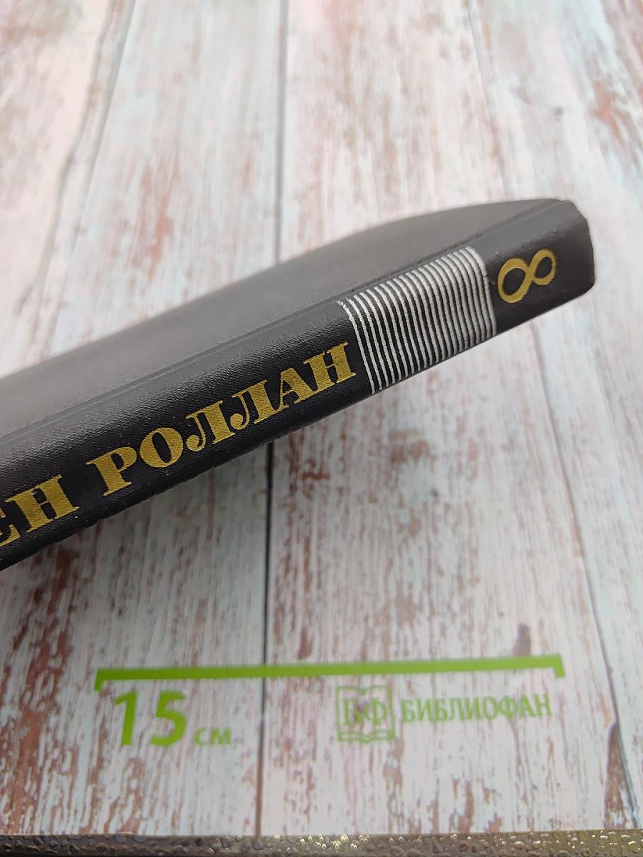Очарованная душа. Книга четвертая: Провозвестница (Собрание сочинений. Том VIII)