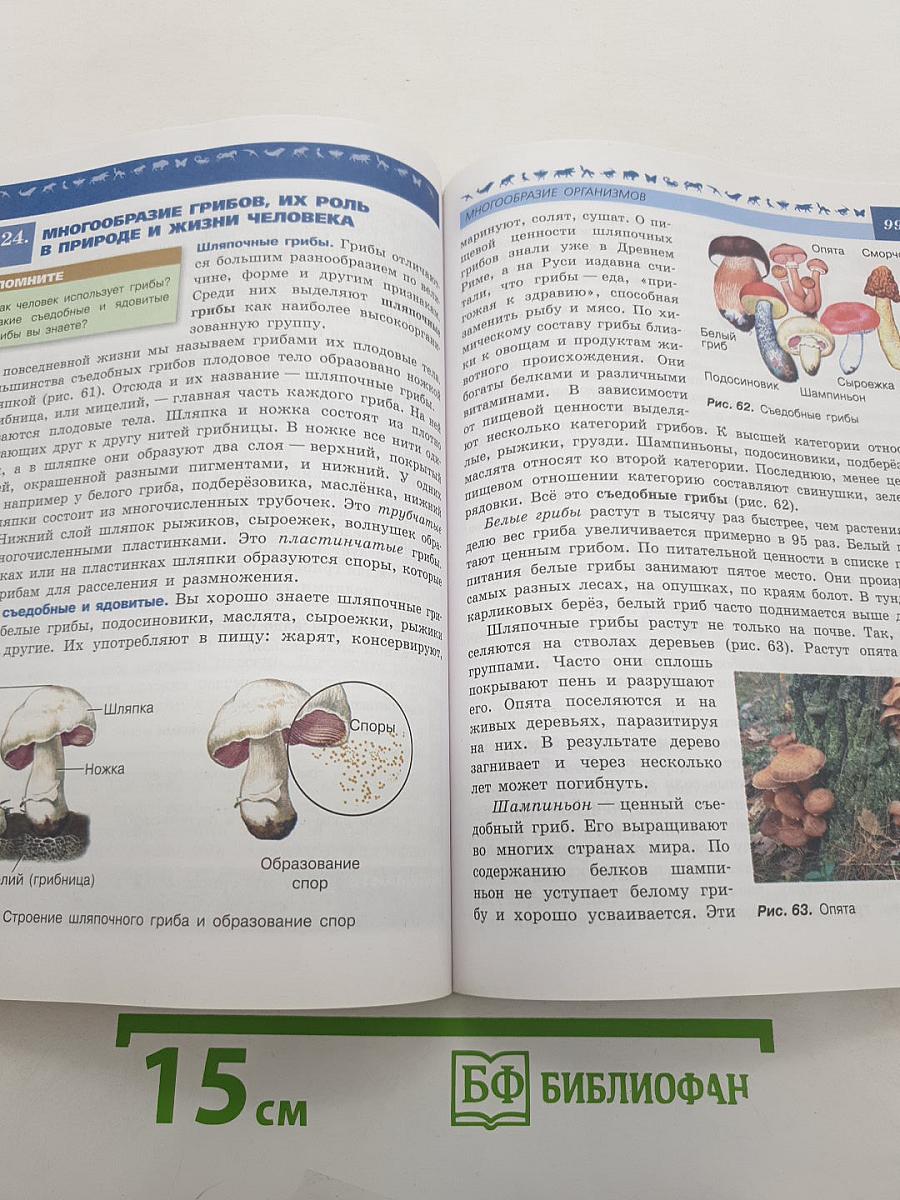 Биология 5-6 классы