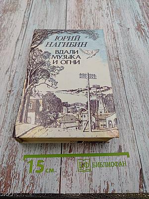 Вдали музыка и огни