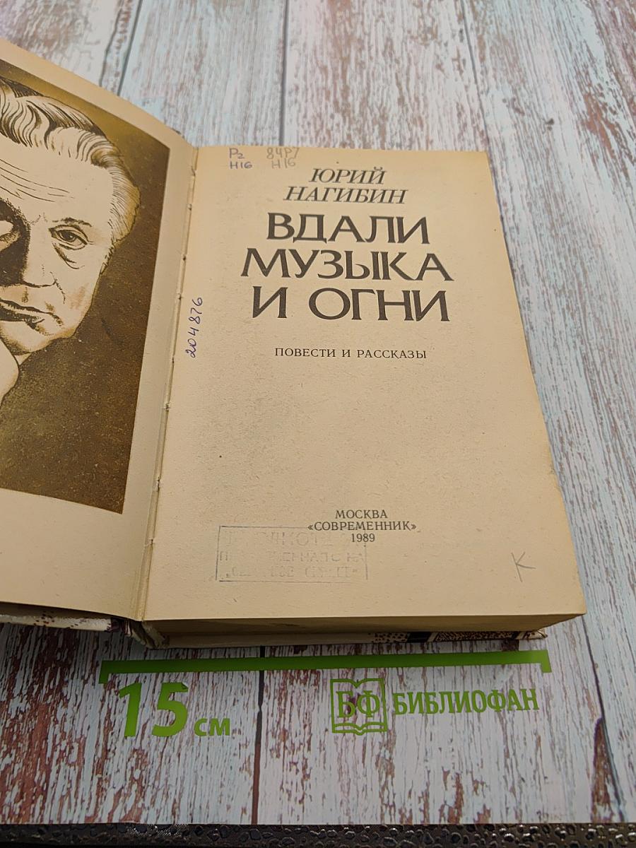 Вдали музыка и огни