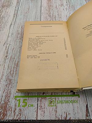 Вдали музыка и огни