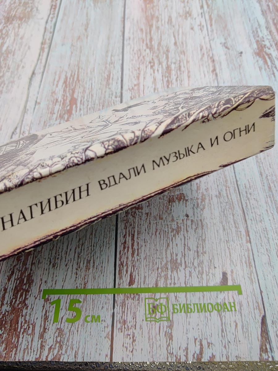 Вдали музыка и огни