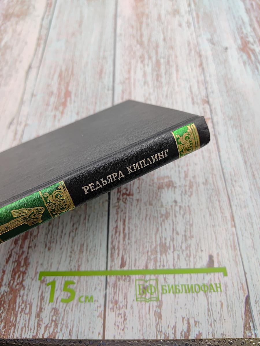 Утренняя песнь в Джунглях