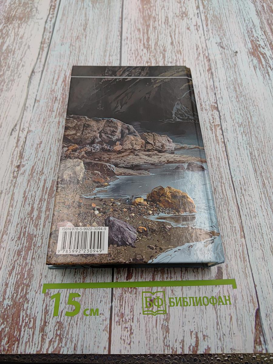 Два в одном. Под чужим именем