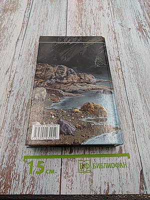 Два в одном. Под чужим именем