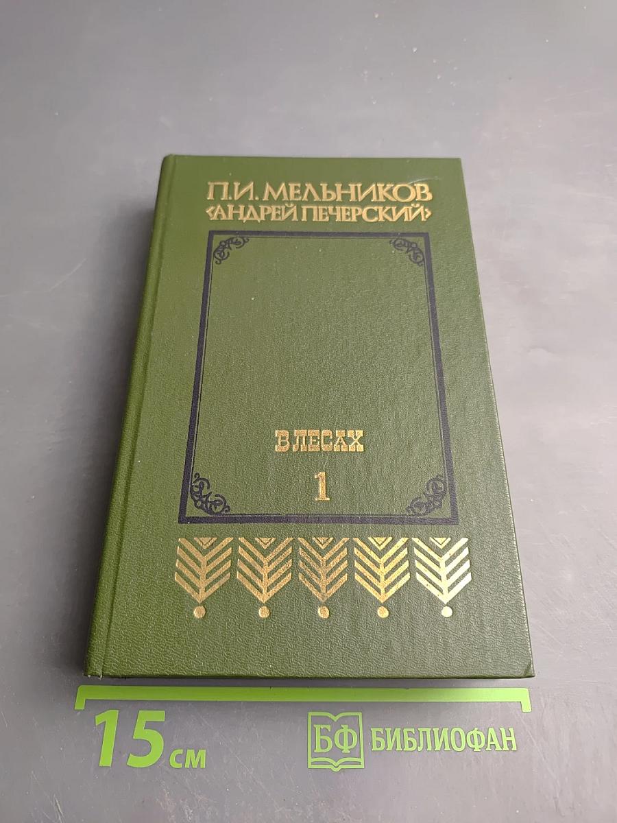 В лесах. Книга первая