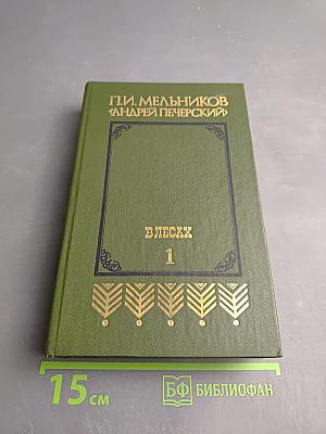 В лесах. Книга первая