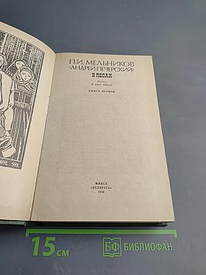 В лесах. Книга первая
