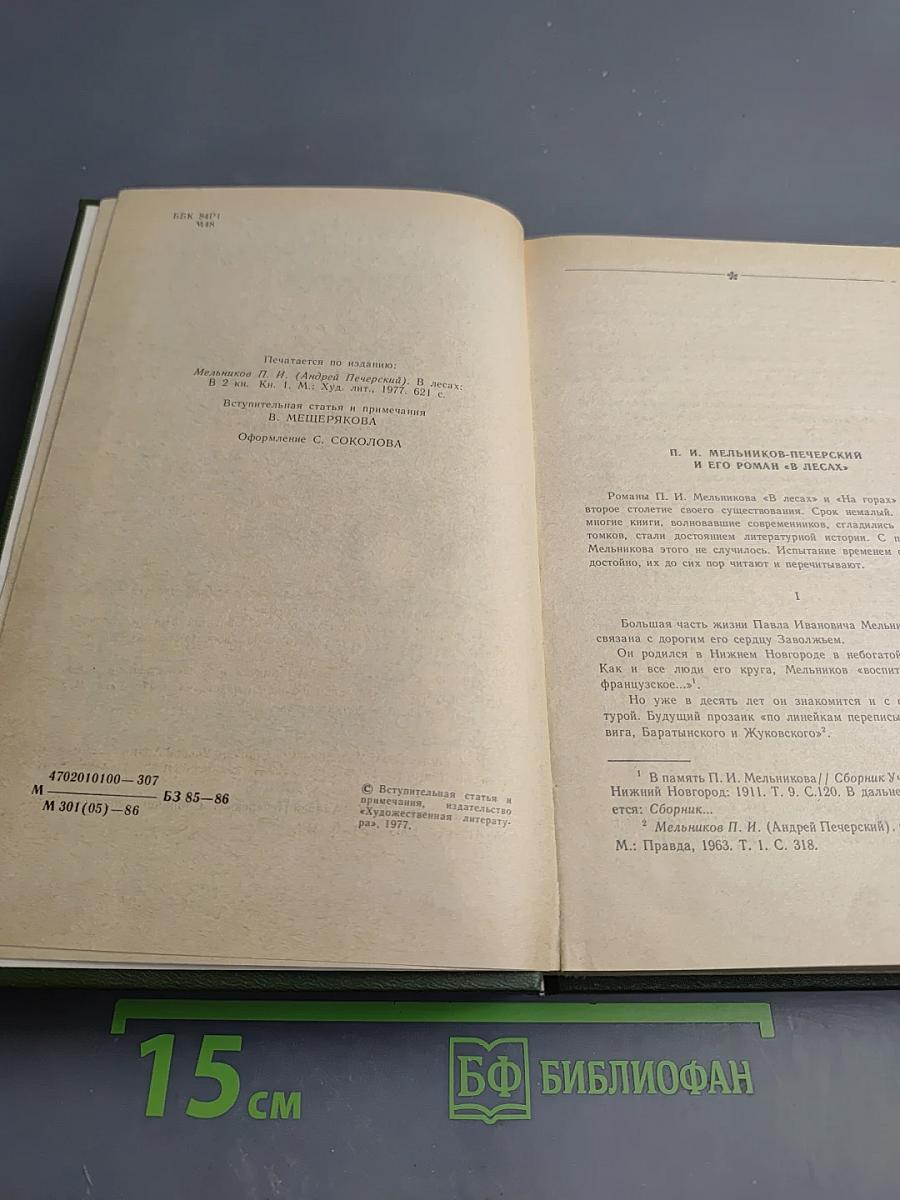 В лесах. Книга первая