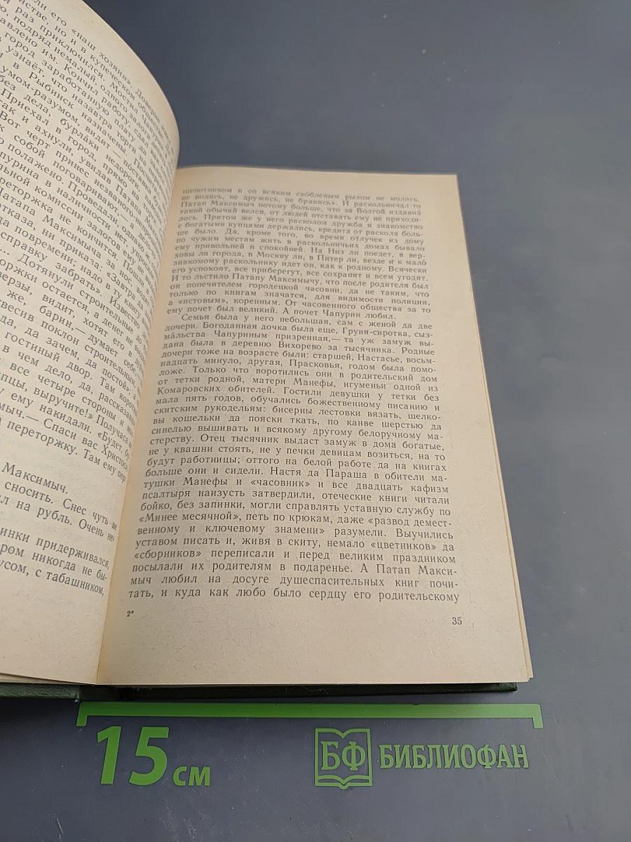 В лесах. Книга первая