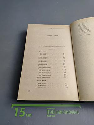 В лесах. Книга первая