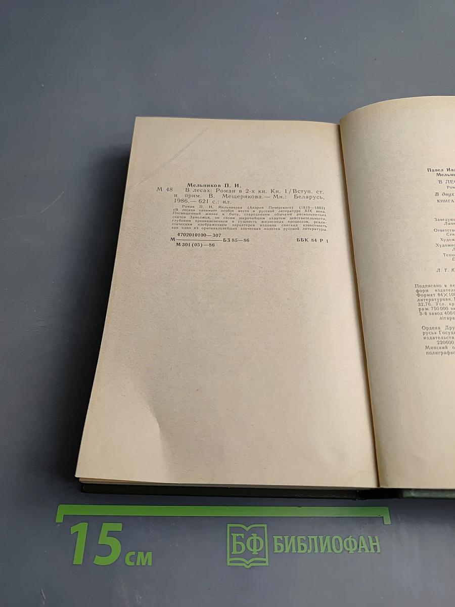 В лесах. Книга первая