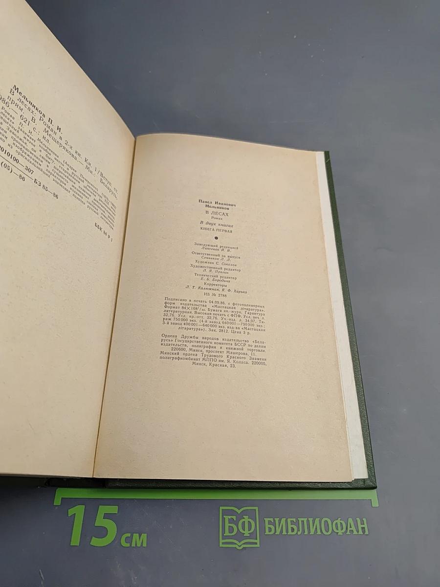 В лесах. Книга первая