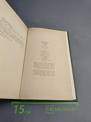 В лесах. Книга первая