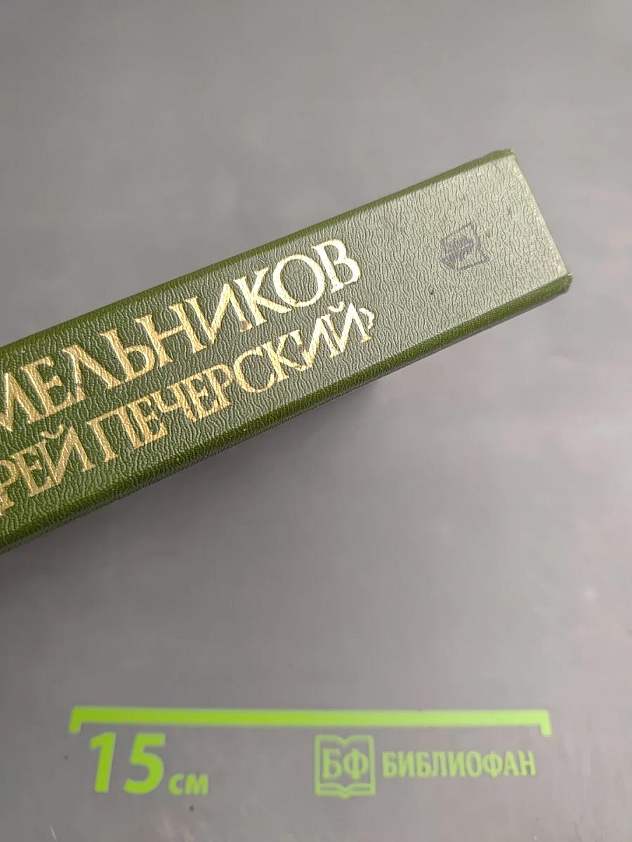 В лесах. Книга первая