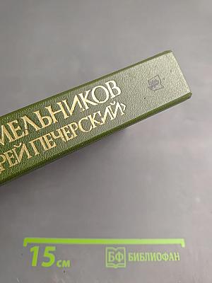 В лесах. Книга первая