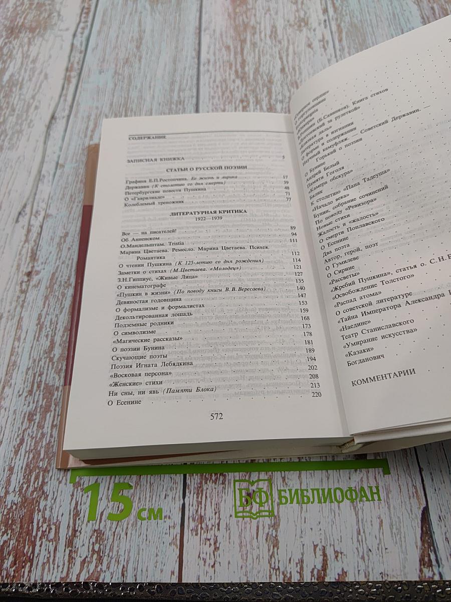 Владислав Ходасевич. Собрание сочинений. В 4 т. Т. 2. Критико-биографические произведения