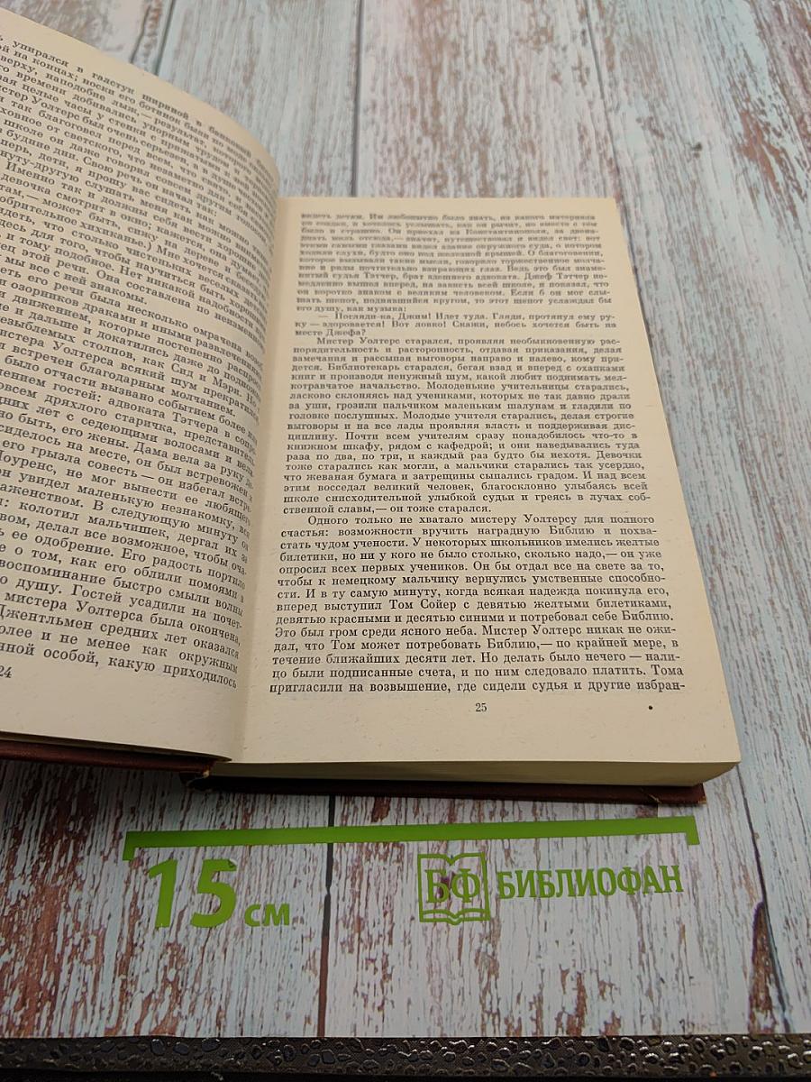 Приключения Тома Сойера. Приключения Гекльберри Финна