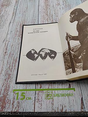 На заре человеческой истории