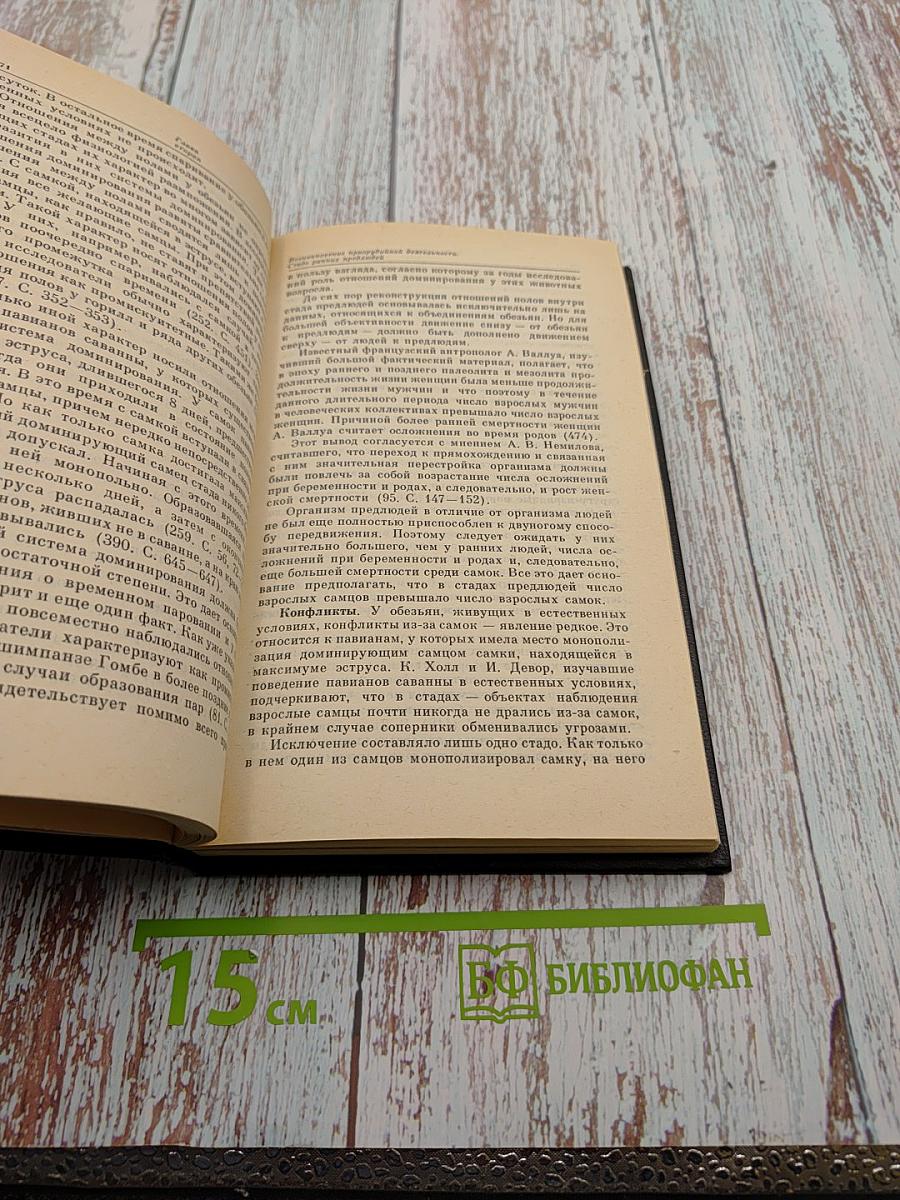 На заре человеческой истории