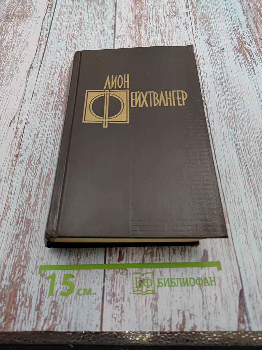 Избранные произведения. Том третий. Успех. Книги 4-5. Семья Опперман