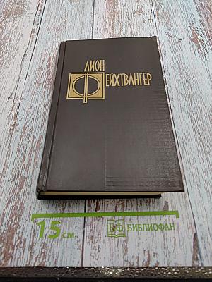 Избранные произведения. Том третий. Успех. Книги 4-5. Семья Опперман