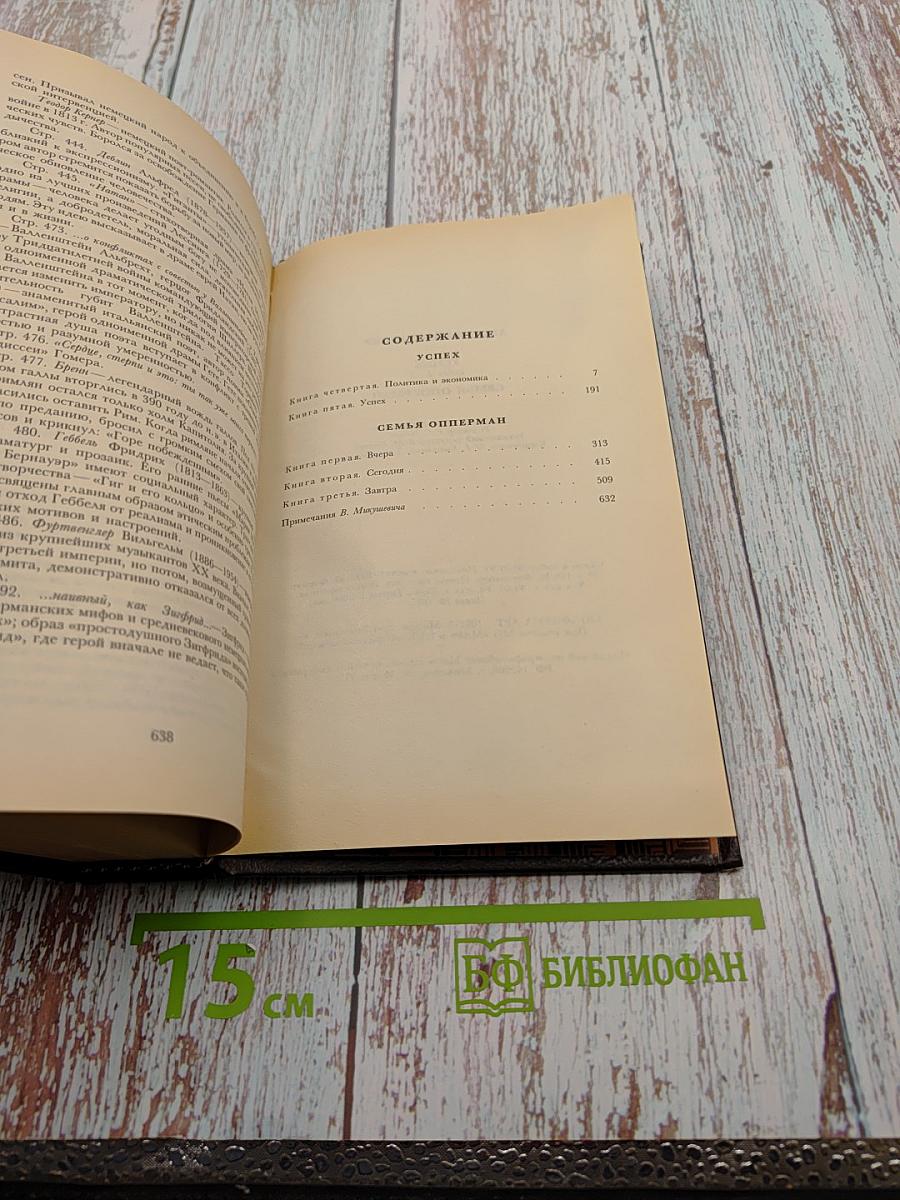 Избранные произведения. Том третий. Успех. Книги 4-5. Семья Опперман