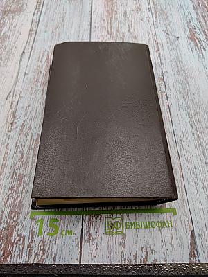 Избранные произведения. Том третий. Успех. Книги 4-5. Семья Опперман