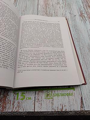 Наставление в христианской вере. Том первый. Книги 1 и II