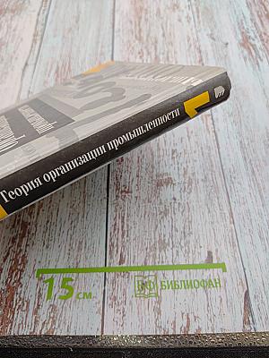 Теория организации промышленности. Том 1