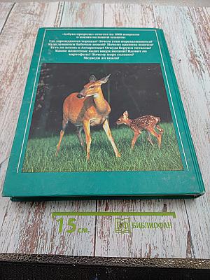 Азбука природы