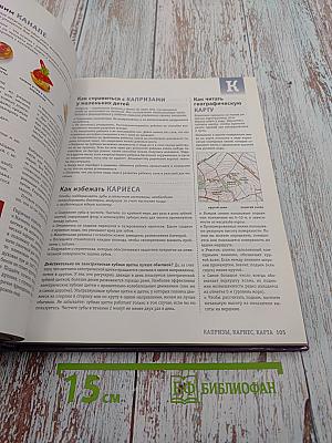 Как сделать всё на свете. Практические советы на все случаи жизни от А до Я