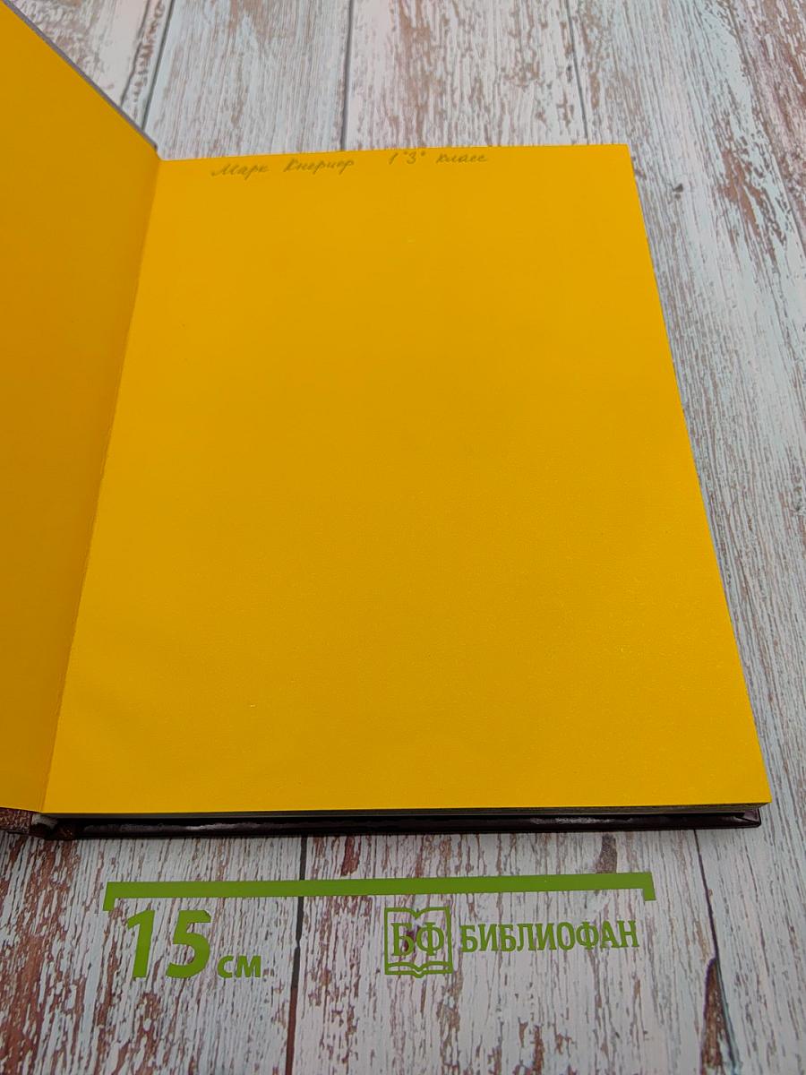 АБВ гуляли по Неве