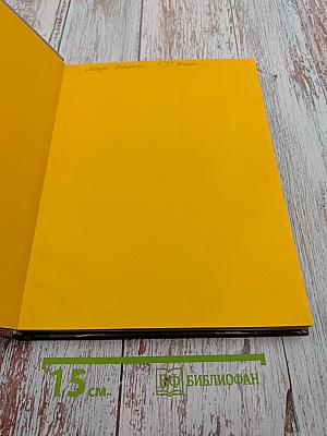 АБВ гуляли по Неве