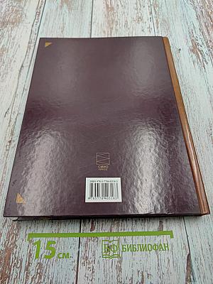 АБВ гуляли по Неве