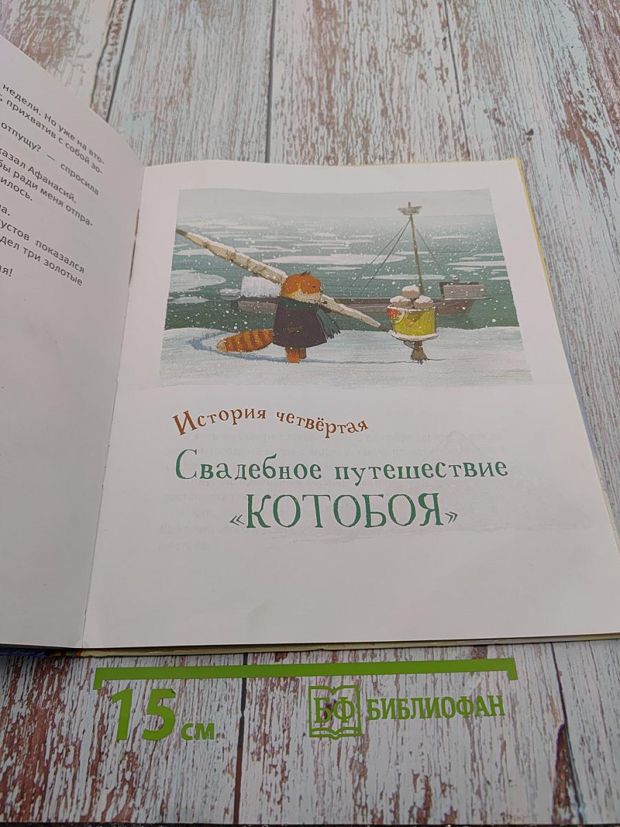 Приключения «Котобоя»