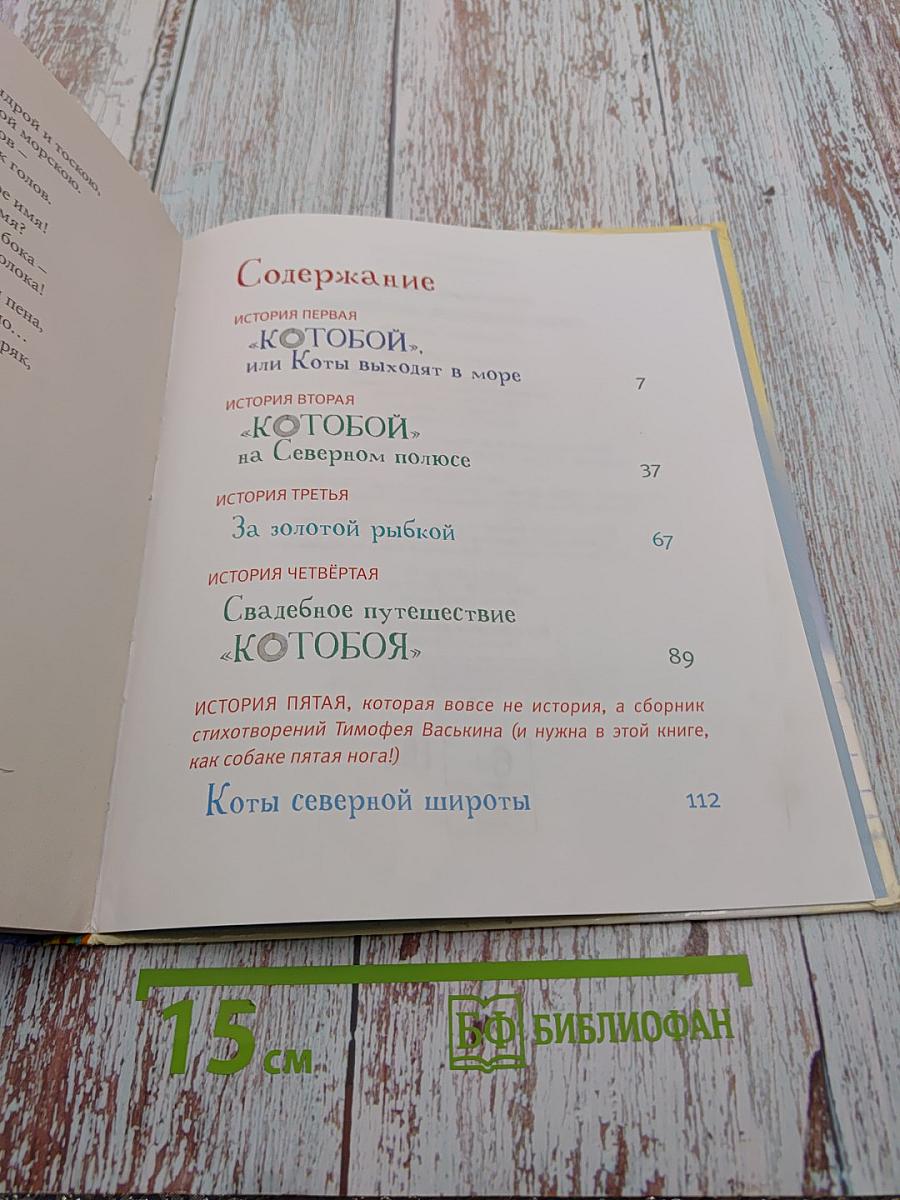 Приключения «Котобоя»
