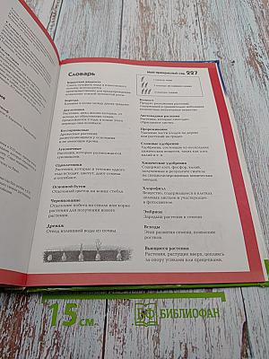 Мой прекрасный сад. Путеводитель для маленьких садоводов