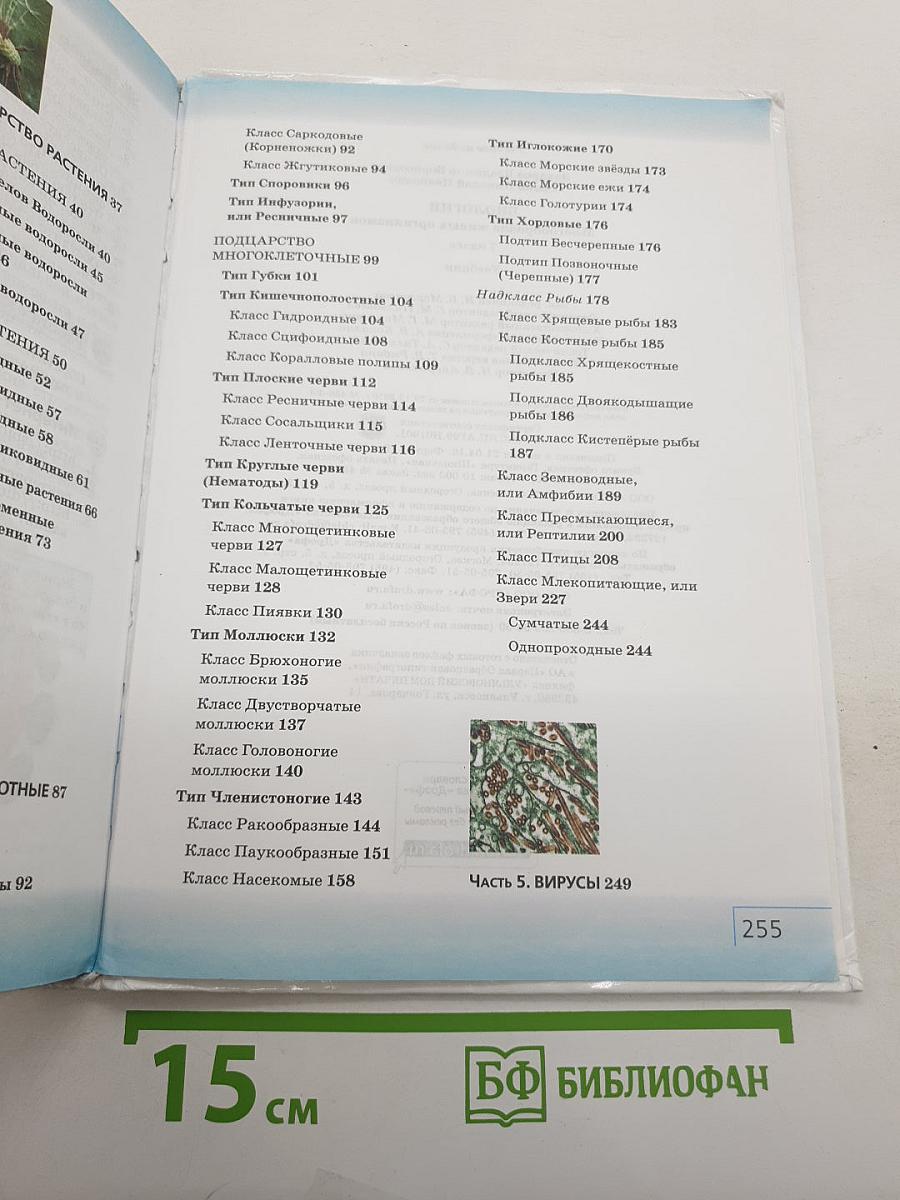Биология. Многообразие живых организмов