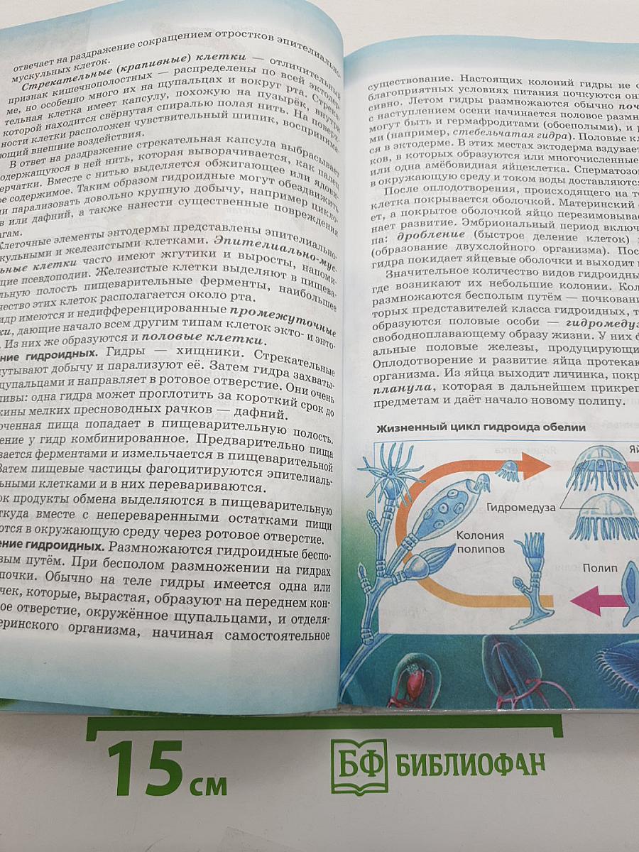 Биология. Многообразие живых организмов