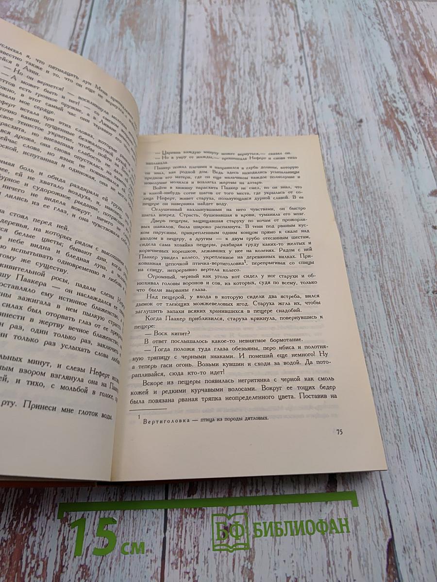 Уарда. Роман