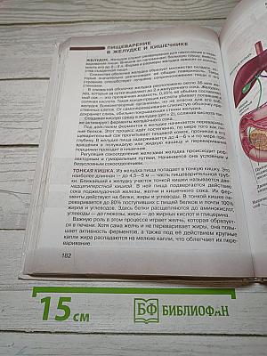 Биология. Человек